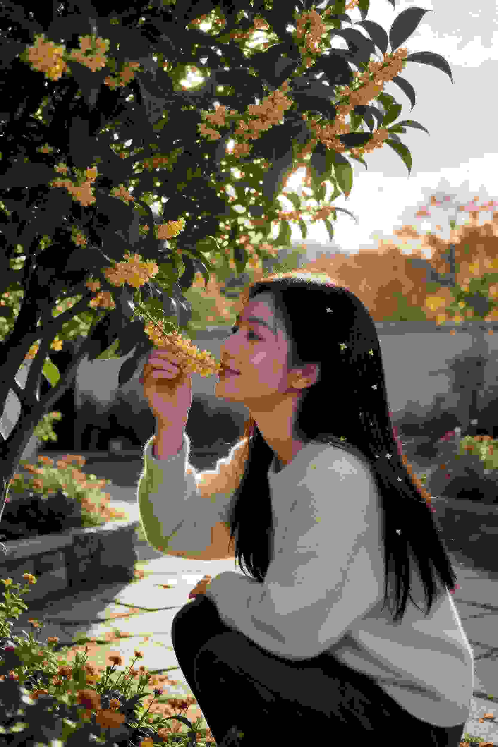春意暖心